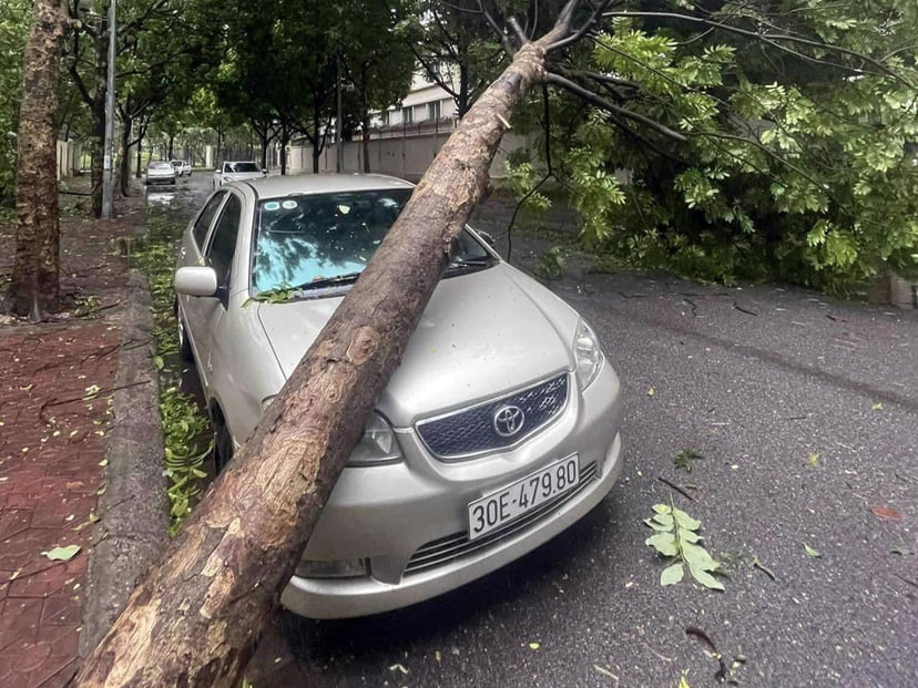 Insurance expert: 'Cars damaged by falling trees after a storm may be compensated up to 100% of their value, but owners need to pay attention to this', photo 1