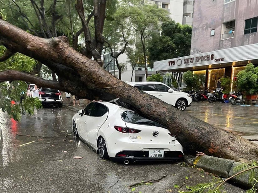 Insurance expert: 'Cars damaged by falling trees after a storm may be compensated up to 100% of their value, but owners need to pay attention to this', photo 2
