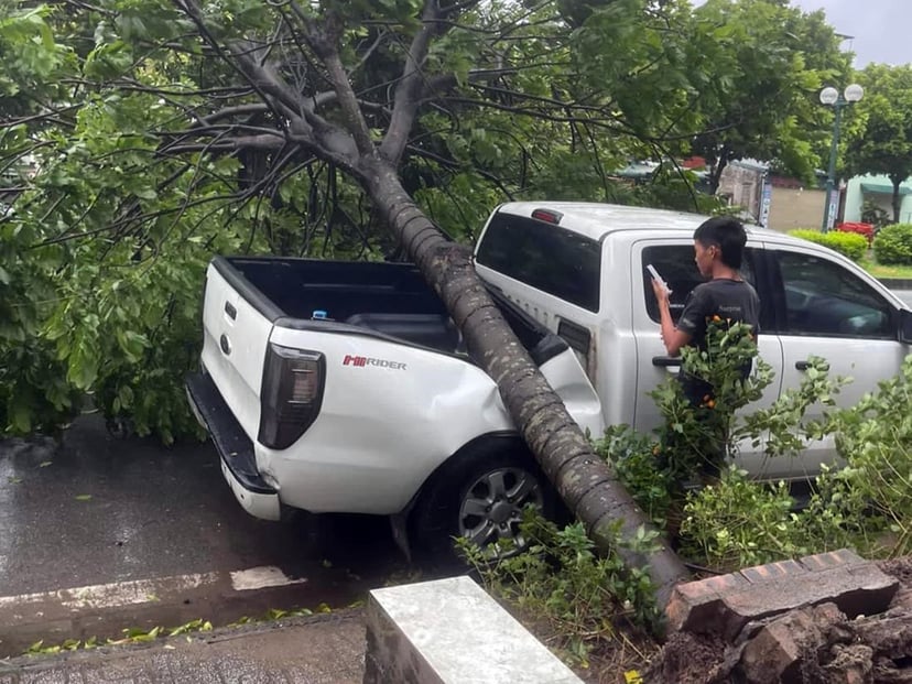 Insurance expert: 'Cars damaged by falling trees after a storm may be compensated up to 100% of their value, but owners need to pay attention to this', photo 3
