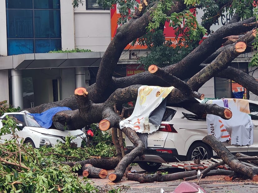 Insurance expert: 'Cars damaged by falling trees after a storm may be compensated up to 100% of their value, but owners need to pay attention to this', photo 4